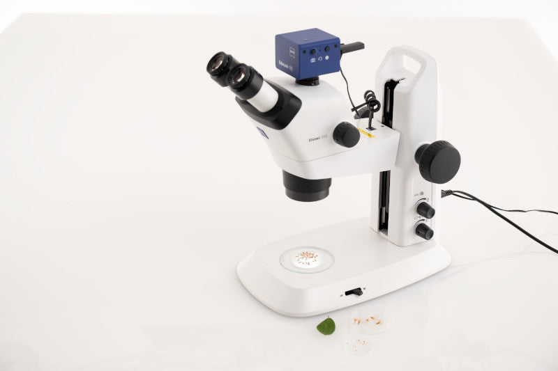 Zeiss MIkroskop Stemi 305 und Kamera mit Proben