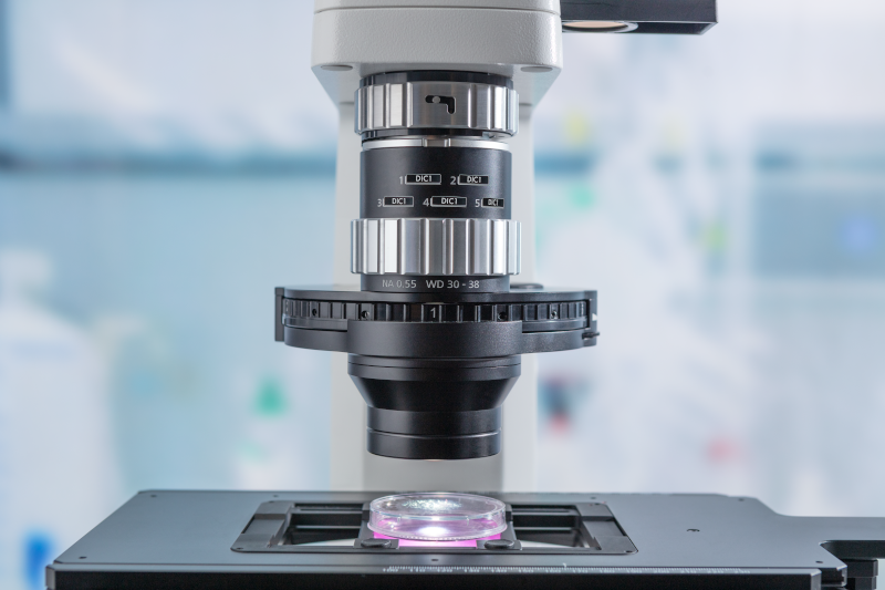 Zeiss Axiovert 5 AL SCB f/HF DF DIC m/EC EPN inkl. Axiocam 305 color