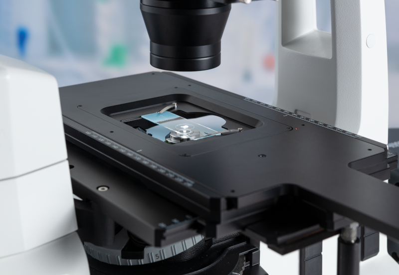 Zeiss Axiovert 5 DL f/HF Ph1 mit Modul