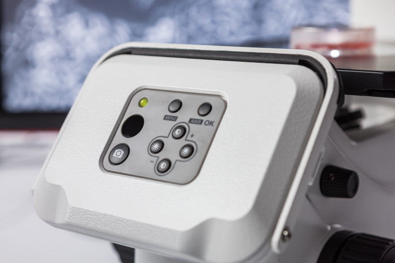 ZEISS Primovert HDcam – Inverses Mikroskop mit HD-IP-Kamera für Hellfeld & einheitlichen Phasenkontrast