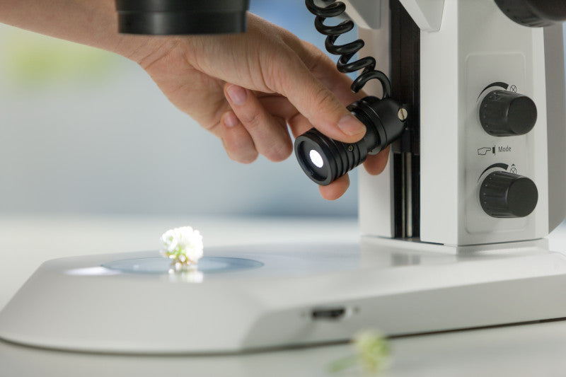 Spot Leuchte für preziese Ausleuchtung