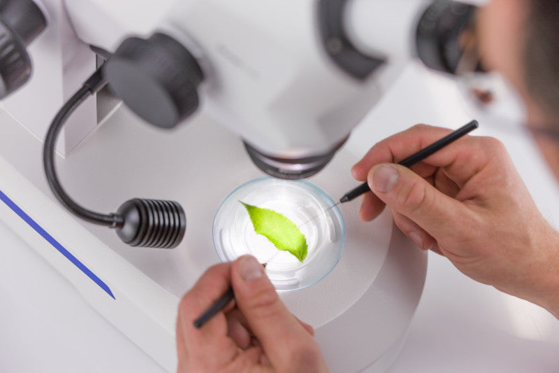 Zeiss Stemi 508 mit Stativ K Edu und K LED Leuchten