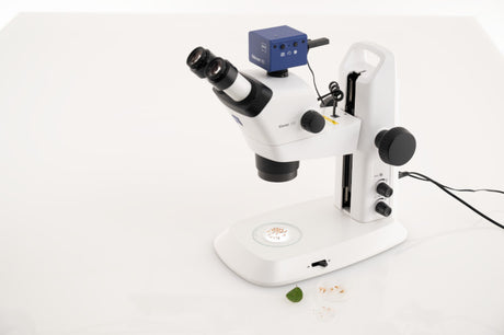 Zeiss MIkroskop Stemi 305 und Kamera mit Proben