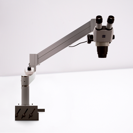 Stereomikroskop Stemi 305 trino für große Objekte