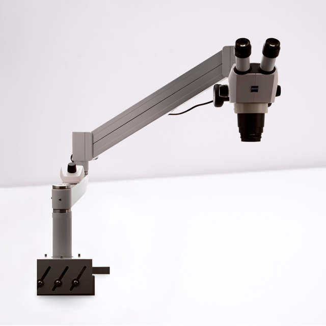 Stereomikroskop Stemi 305 trino für große Objekte