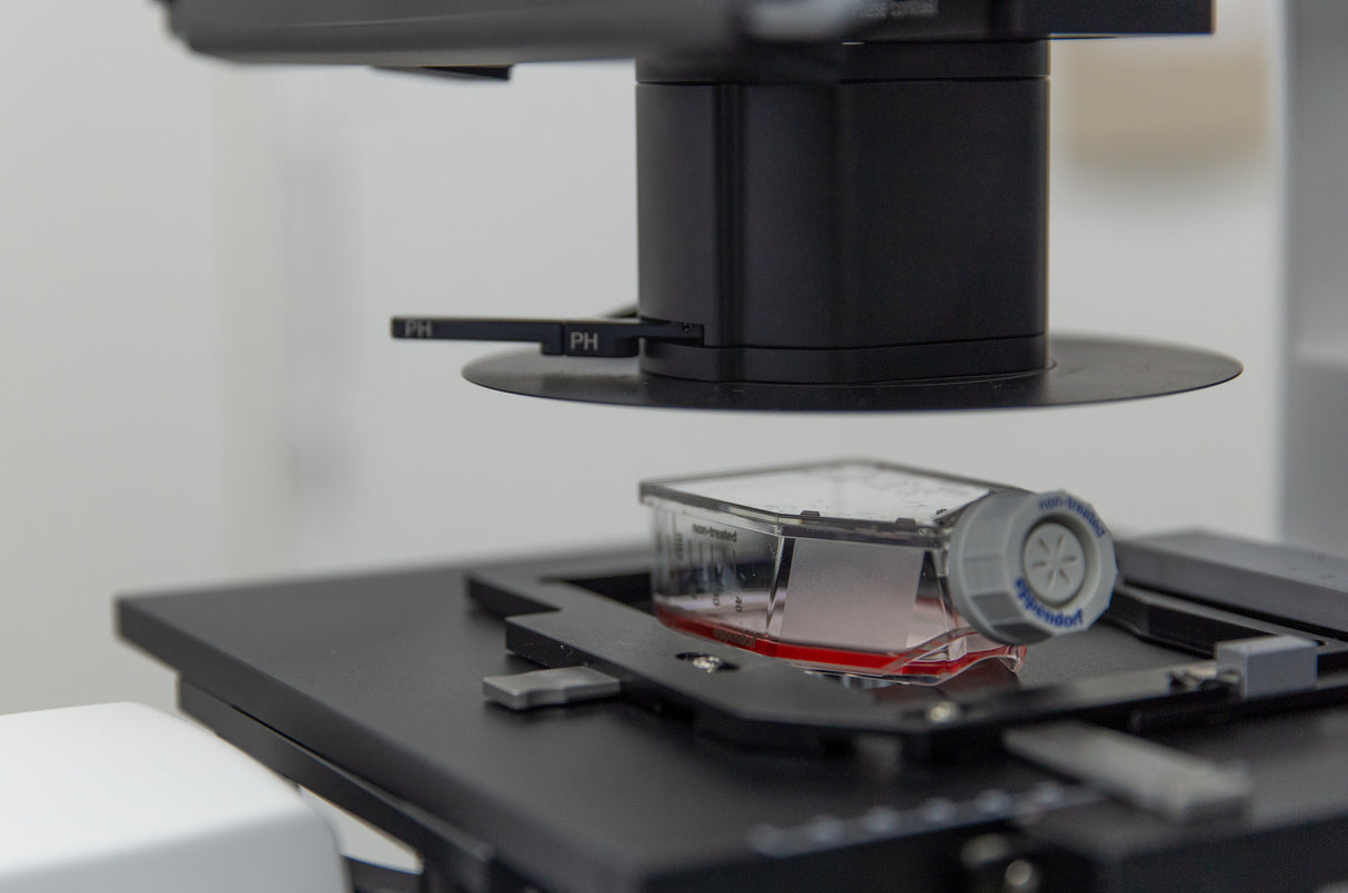 Zeiss Axiovert 5 digital mit integrierter Farbkamera und Labscope Modul Multi Channel DLic Software