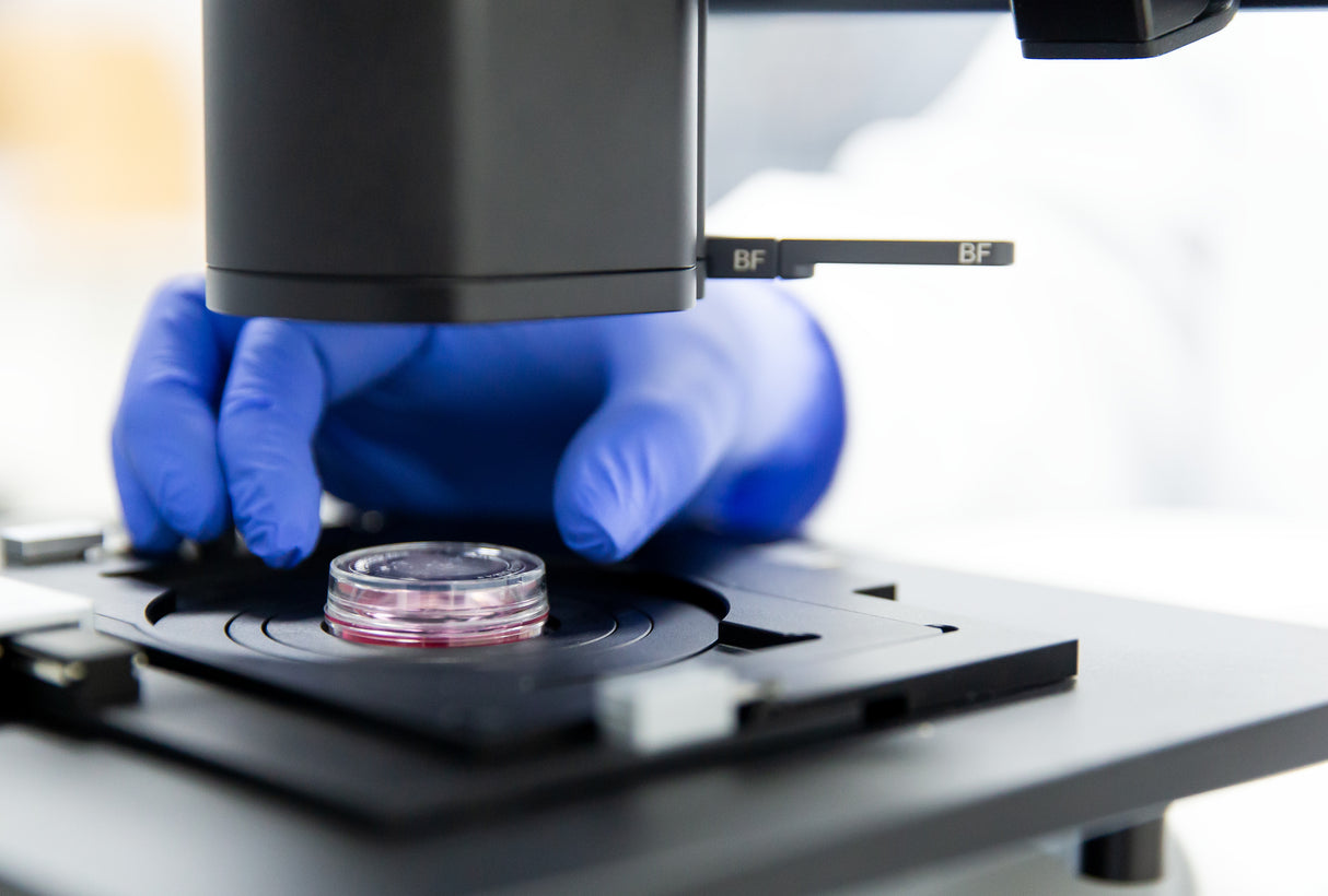 Zeiss Axiovert 5 digital mit integrierter Farbkamera und Labscope Modul Multi Channel DLic Software
