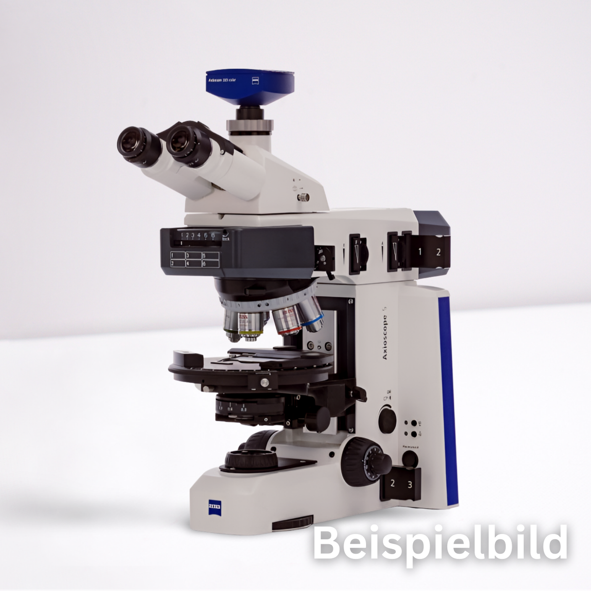 Zeiss Axioscope 5 Polarisation Bespielbild