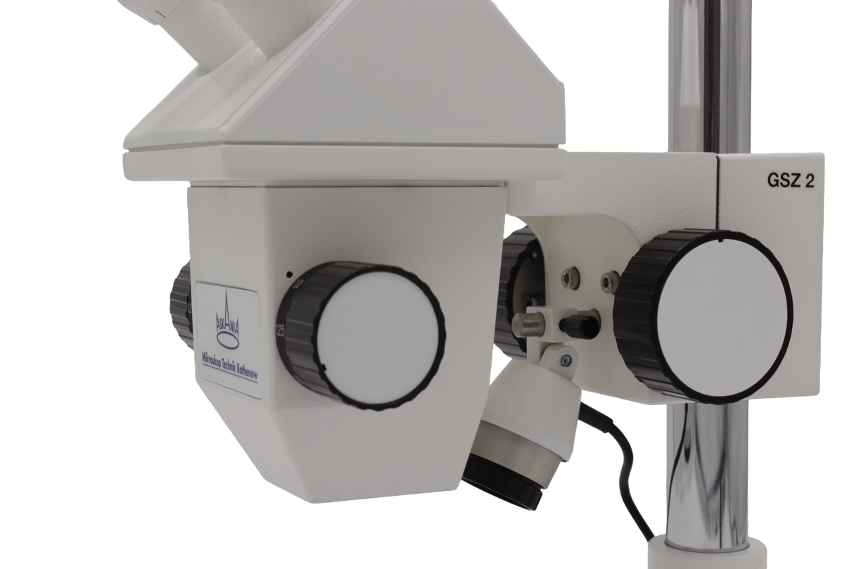 GSZ Mikroskopkörper nahe