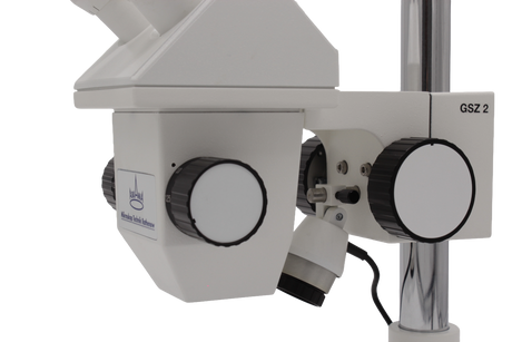 GSZ Mikroskopkörper nahe