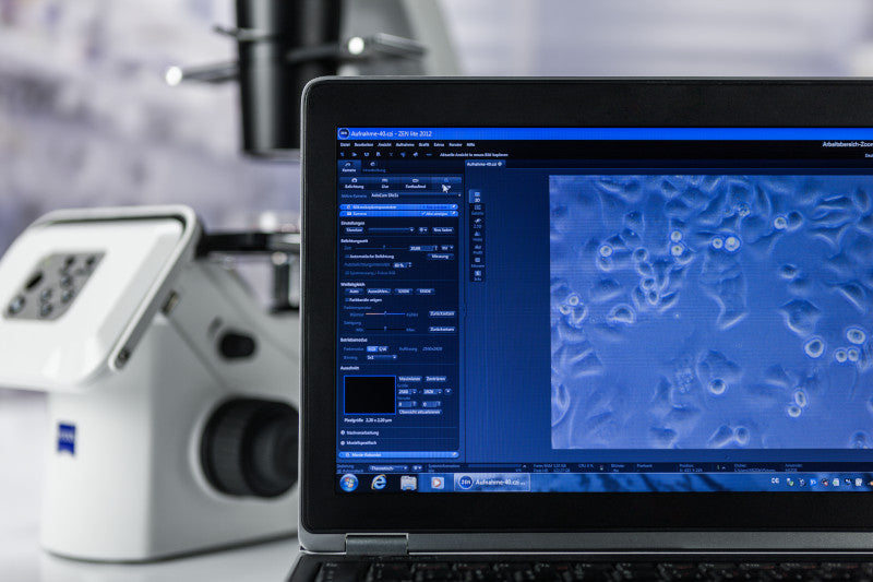 ZEISS Primovert HDcam – Inverses Mikroskop mit HD-IP-Kamera für Hellfeld & einheitlichen Phasenkontrast