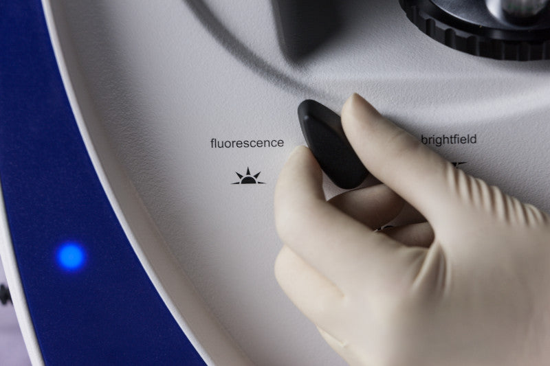 ZEISS Primovert iLED – Inverses Fluoreszenzmikroskop (470 nm) für Hellfeld & erweiterten Phasenkontrast