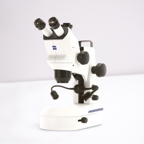 Stereomikroskop Stemi 508 mit Kameraausgang
