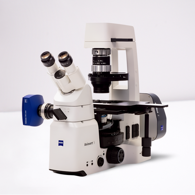 Inverses Mikroskop Zeiss Axiovert 5 Colibri