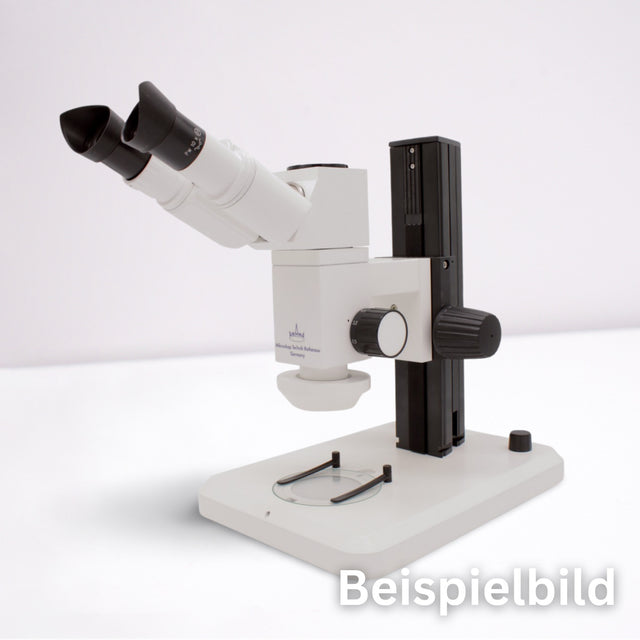 ASKANIA Mikroskoptechnik MZM Makro-Zoom-Mikroskop mit Profilsäule, Binokulartubus und LED-Auflicht für industrielle Prüfungen