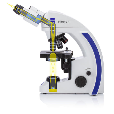 ASKANIA Mikroskoptechnik ZEISS Primostar 1 Trinokular-Durchlichtmikroskop mit schematischem Strahlengang