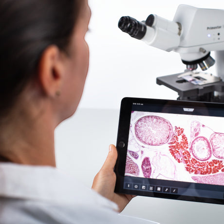 ASKANIA Mikroskoptechnik ZEISS Primostar 3 Mikroskop mit integrierter Kamera und Tablet-Livebild-Analyse im Labor