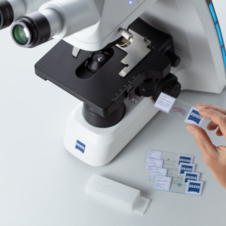 ASKANIA Mikroskoptechnik ZEISS Primostar 3 Phasenkontrast Mikroskop mit Hand beim Einlegen eines Objektträgers