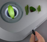 ASKANIA Mikroskoptechnik ZEISS Stemi 355 Doc Stativ mit LED-Durchlicht und Pflanzenproben bei der Untersuchung