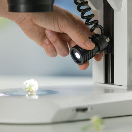 ASKANIA Mikroskoptechnik Zeiss Stemi 355 Edu Stereomikroskop mit verstellbarer LED-Spot-Leuchte für die Ausbildung