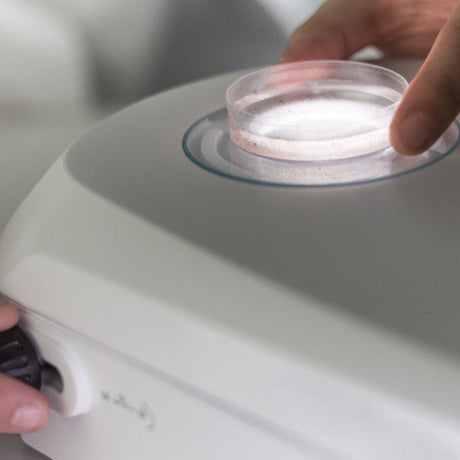 ASKANIA Mikroskoptechnik ZEISS Stemi 355 Edu Stereomikroskop mit Petrischale auf dem Stativ C EDU für Laboranwendungen