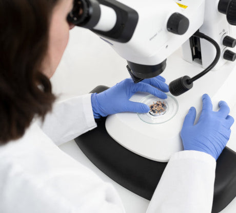 ASKANIA Mikroskoptechnik Zeiss Stemi 355 Lab Stereomikroskop mit LED-Beleuchtung bei der Arbeit im Labor