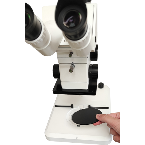 Einlegeplatte ins Stativ legen