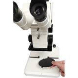 Einlegeplatte ins Stativ legen