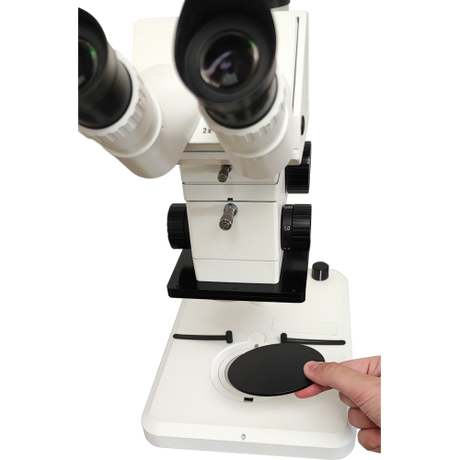 Einlegeplatte ins Stativ legen