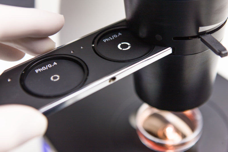 Zeiss Primovert mit binokularem Tubus, 4x, 10x Ph1, LD 20x Ph1, LD 40x Ph1