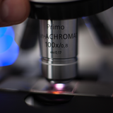 ZEISS Primostar 100x Plan-Achromat Objektiv an einem Durchlichtmikroskop mit LED-Beleuchtung