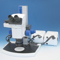 Stereomicroscope SteREO Discovery.V8 for vertical documentation, with coarse/fine drive and variable incident-light illuminator